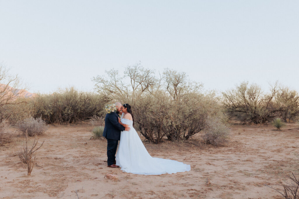 Willcox desert wedding venue at golden hour with mountains in background