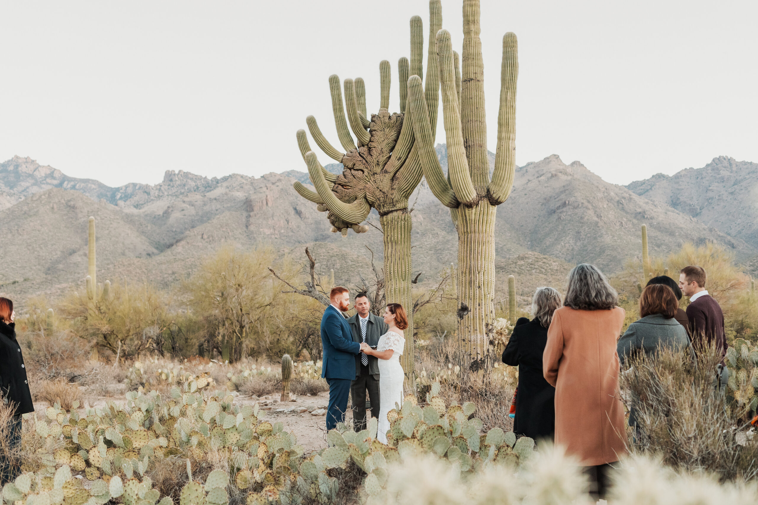 Bride and groom at a sunrise wedding in Sabino Canyon National Park, Tucson, Arizona, with desert landscape and golden light.