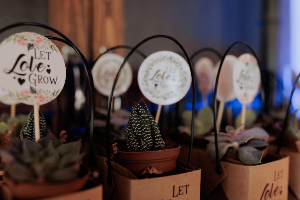 Succulent wedding favors at Willcox Arizona desert wedding reception