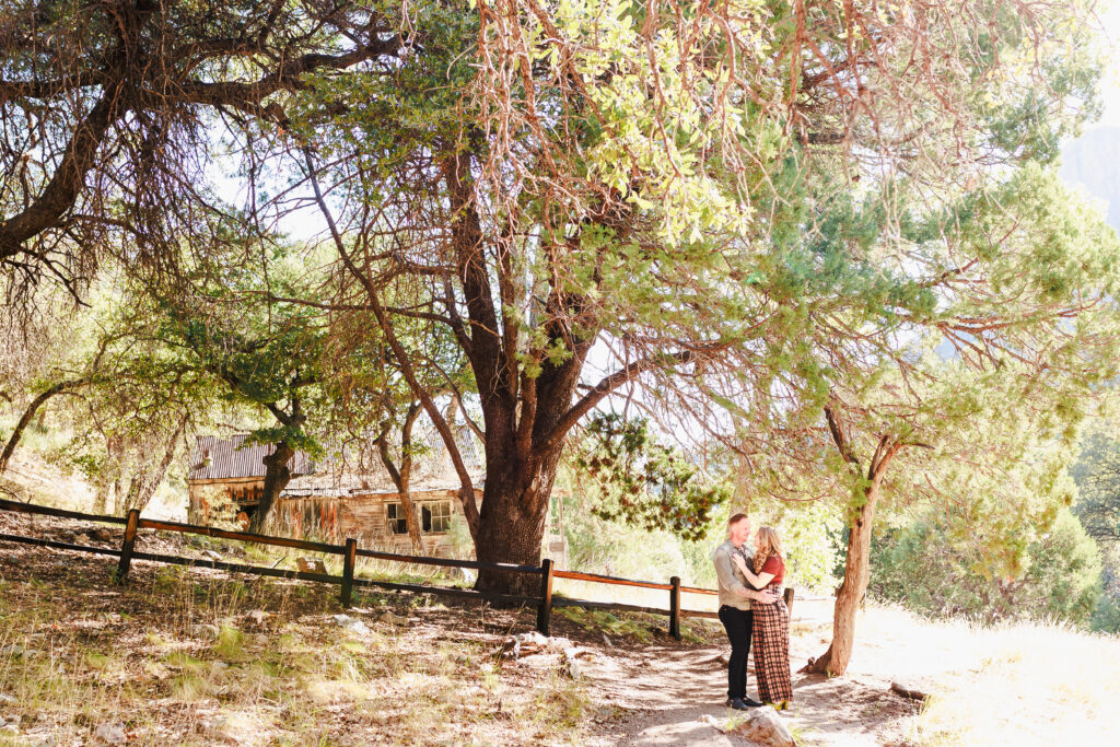 Engagement photo Ramsey Canyon Preserve